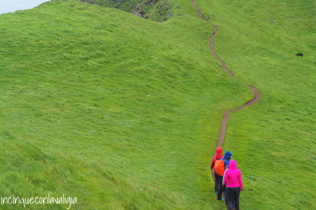 Tassa per le escursioni a Mykines Hiking fee obbligatoria a Mykines