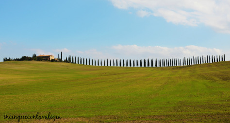 Colline Toscane_Paesaggio