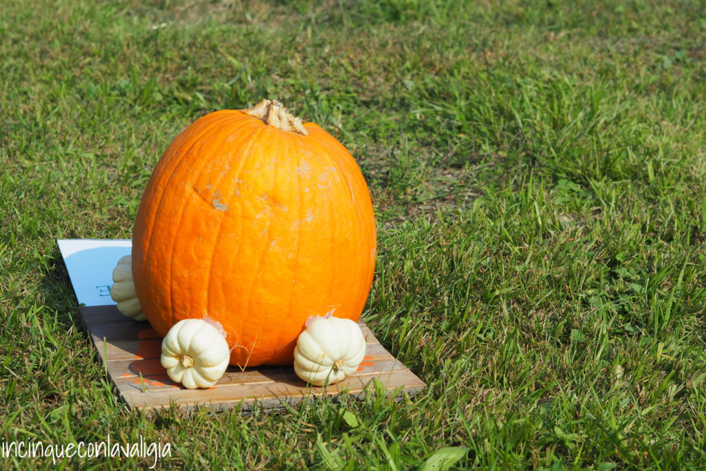 La zucca di Cenerentola La Zucca di Cenerentola