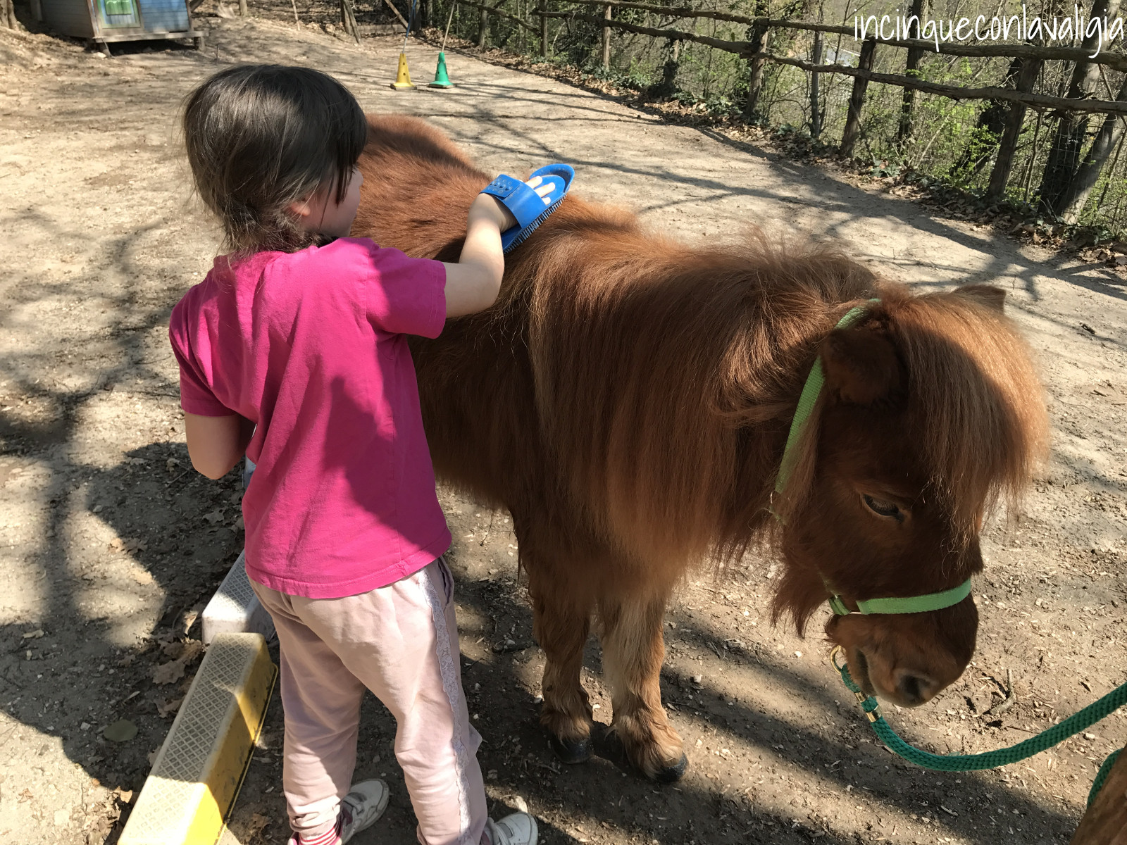 Spazzolare il pony a giocabosco Strigliare il Pony a Giocabosco