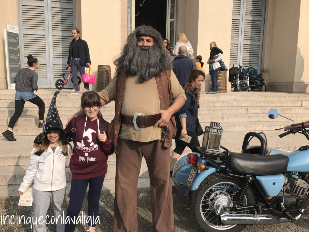 Potterland Hagrid