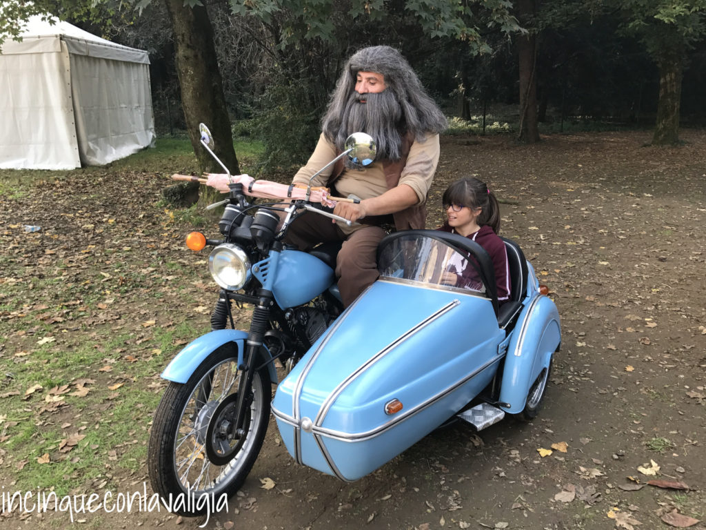 Potterland Hagrid