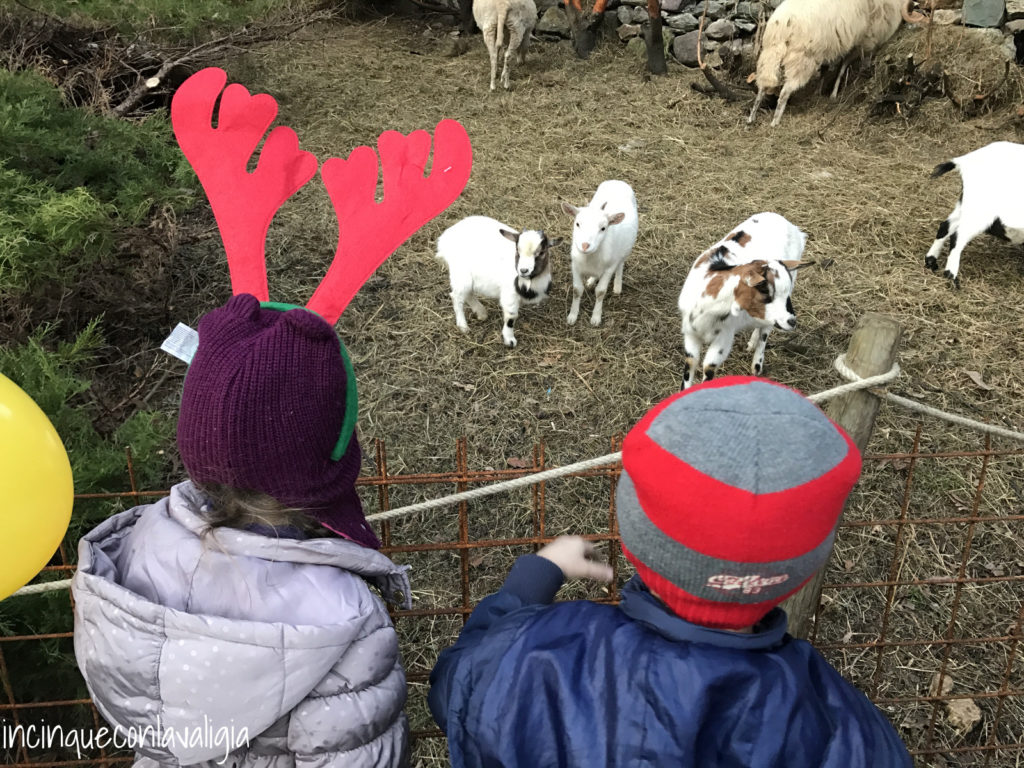 La fattoria degli animali a Gromo
