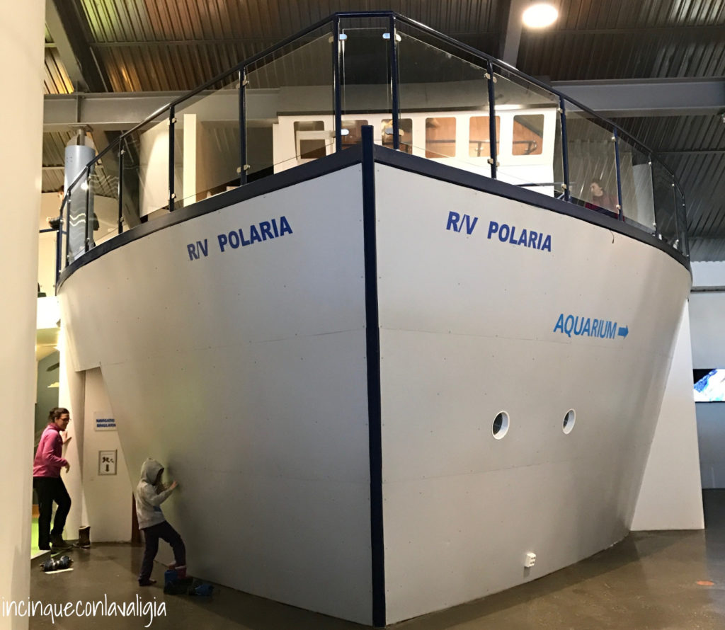 Tromsø in inverno con i bambini Polaria museo - visitare Tromsø in inverno con i bambini