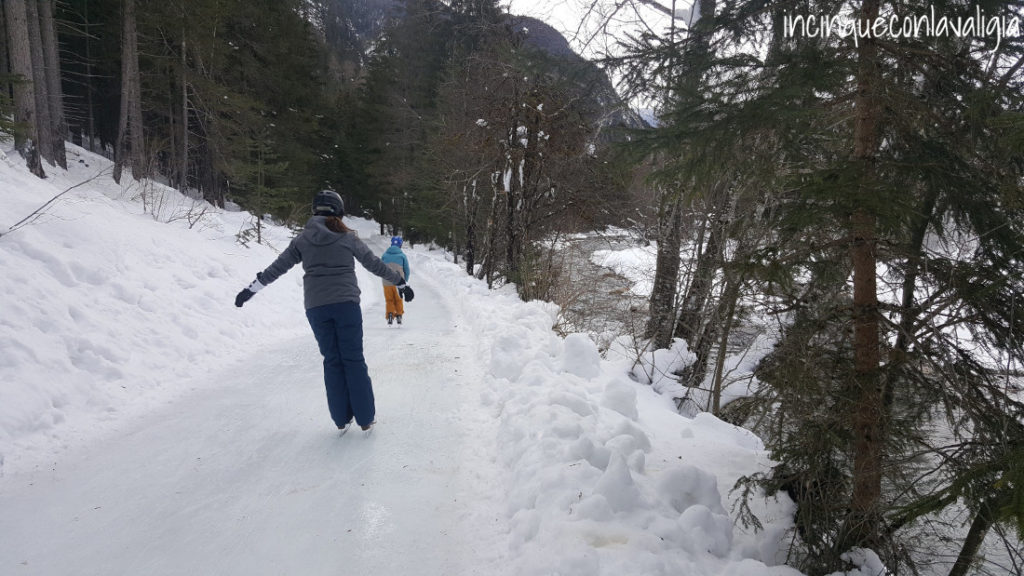 Pista di pattinaggio sul ghiaccio nel bosco Pista di pattinaggio sul ghiaccio nel bosco