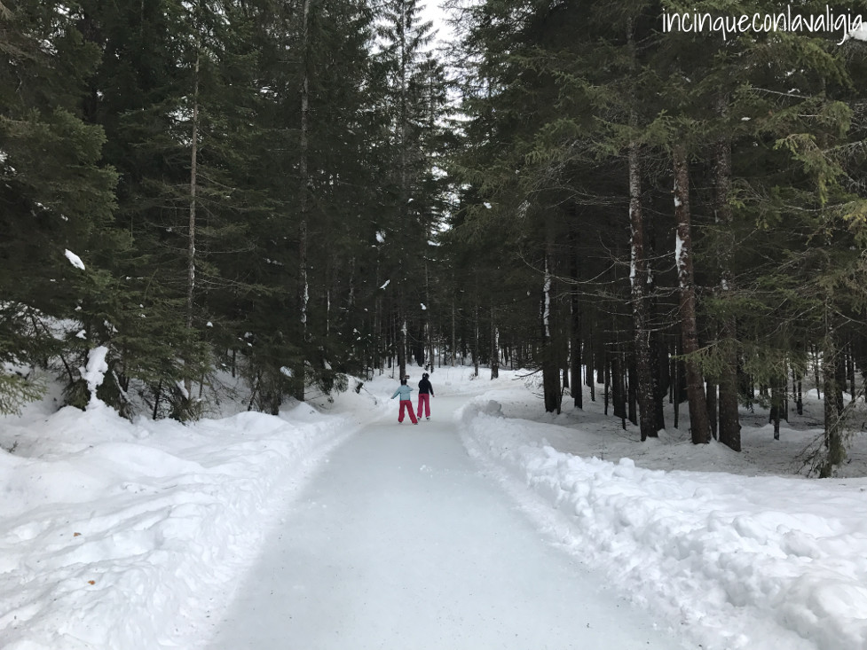 Skateline Albula - bambine che pattinano nel bosco Pattinare sul ghiaccio nel bosco