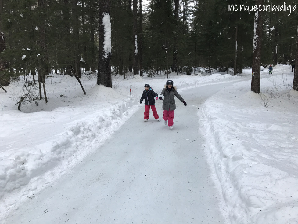 Pattinare sul ghiaccio in Svizzera Pista di pattinaggio sul ghiaccio nel bosco