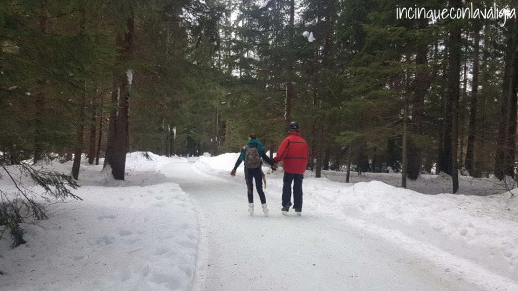 Pista di pattinaggio sul ghiaccio nel bosco Pattinare sul ghiaccio in Svizzera