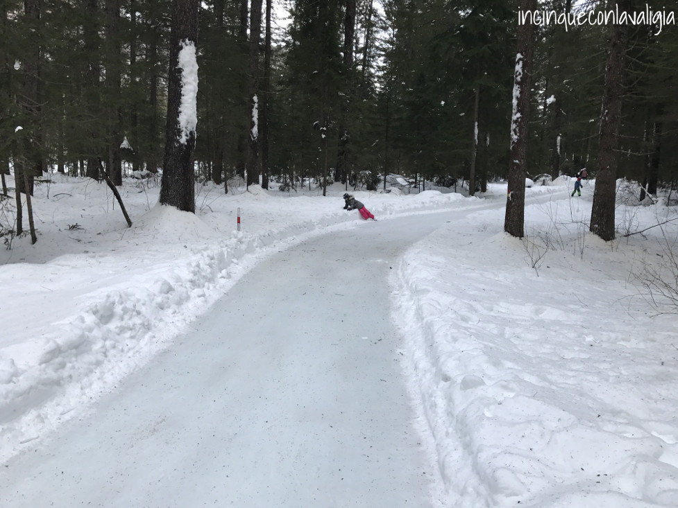 Pattinare sul ghiaccio in Svizzera Pista di pattinaggio sul ghiaccio nel bosco