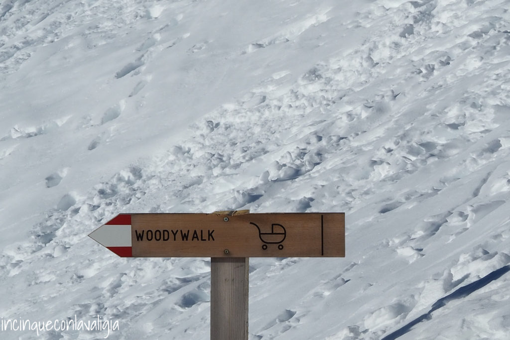 Percorso Woody Walk alla Plose in estate Percorso Woody Walk Plose