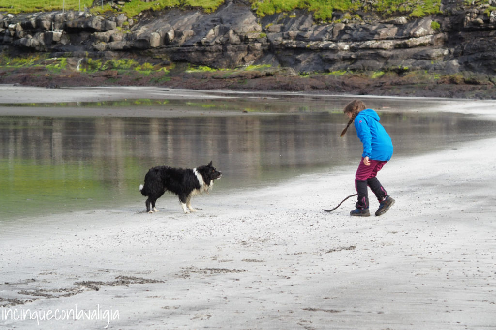 Il cane della spiaggia di Tjornuvik Il cane sulla spiaggia di Tjornuvik