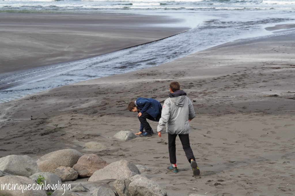 Giochi in spiaggia Divertimento alla spiaggia di Tjørunivík