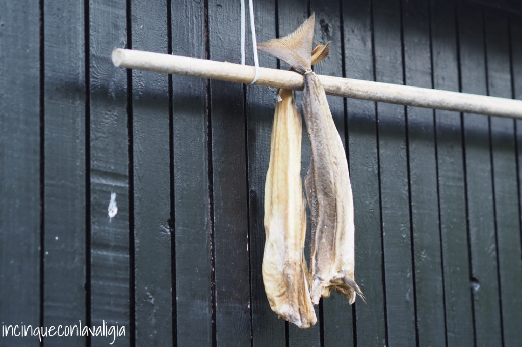 Pesce appeso a essiccare alle Isole Faroe Pesce essiccato alle Isole Faroe