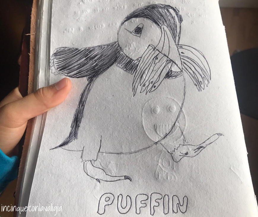 Disegno del puffin sul diario di viaggio Le pulcinelle di mare a Mykines