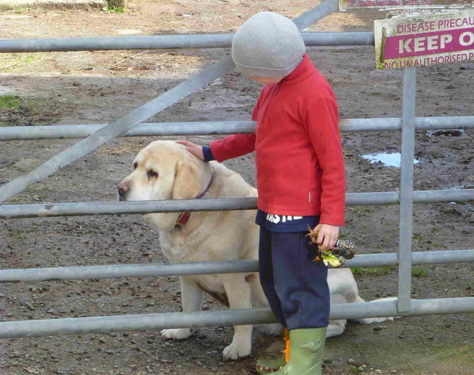 Itinerario in Cornovaglia con bambini Fattoria Chegwidden Farm