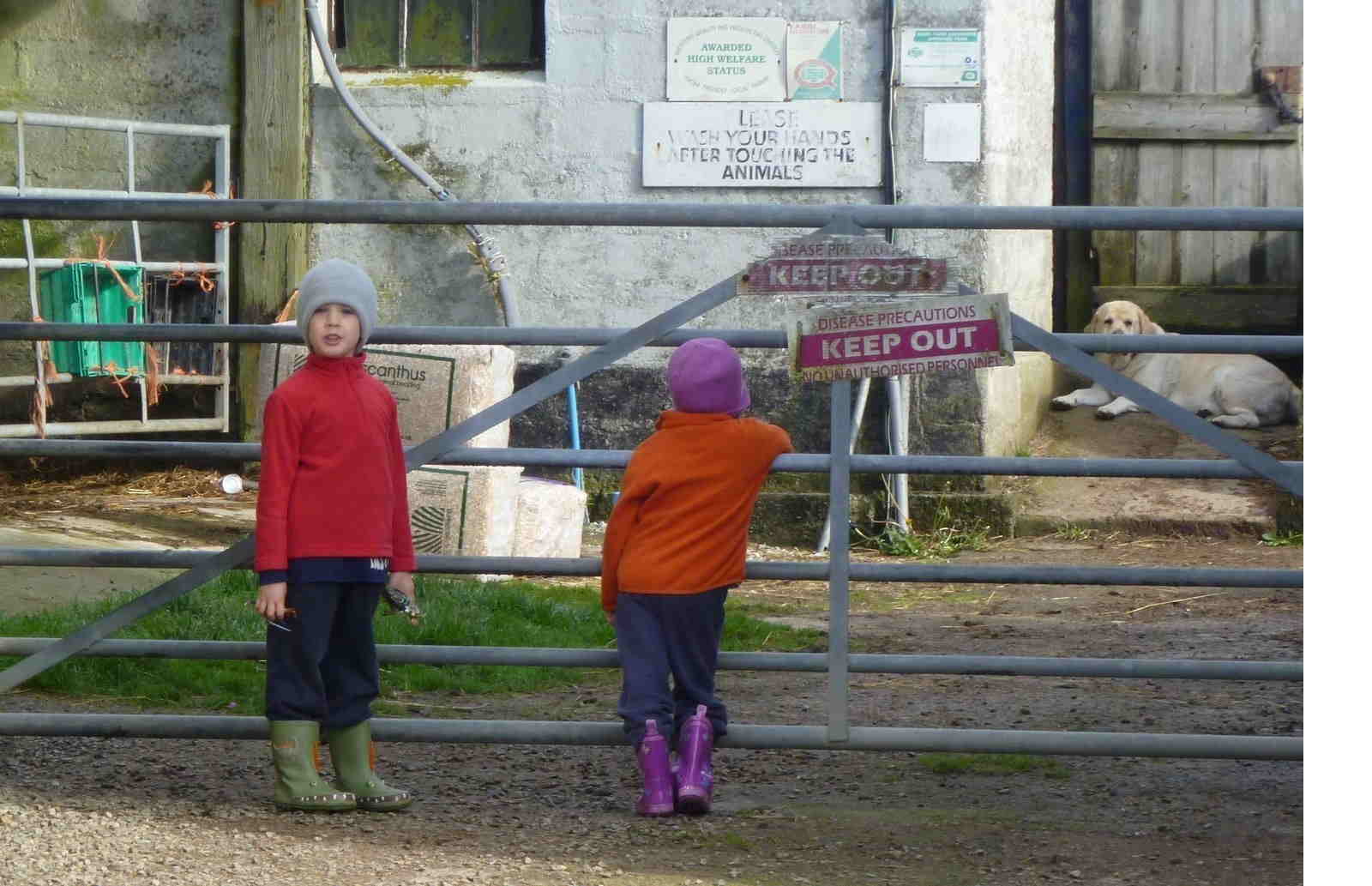 Itinerario in Cornovaglia con bambini Vita in fattoria a Chegwidden Farm