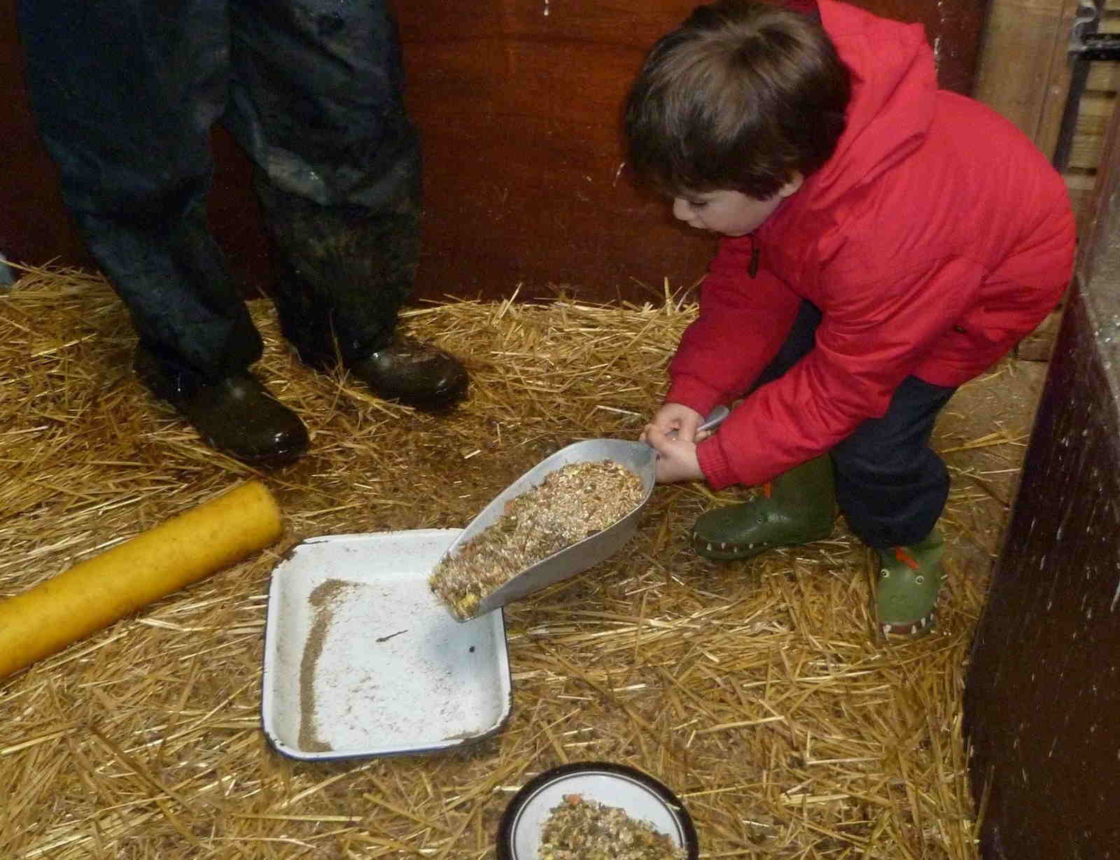 Itinerario in Cornovaglia con bambini Fattoria didattica The Olde House
