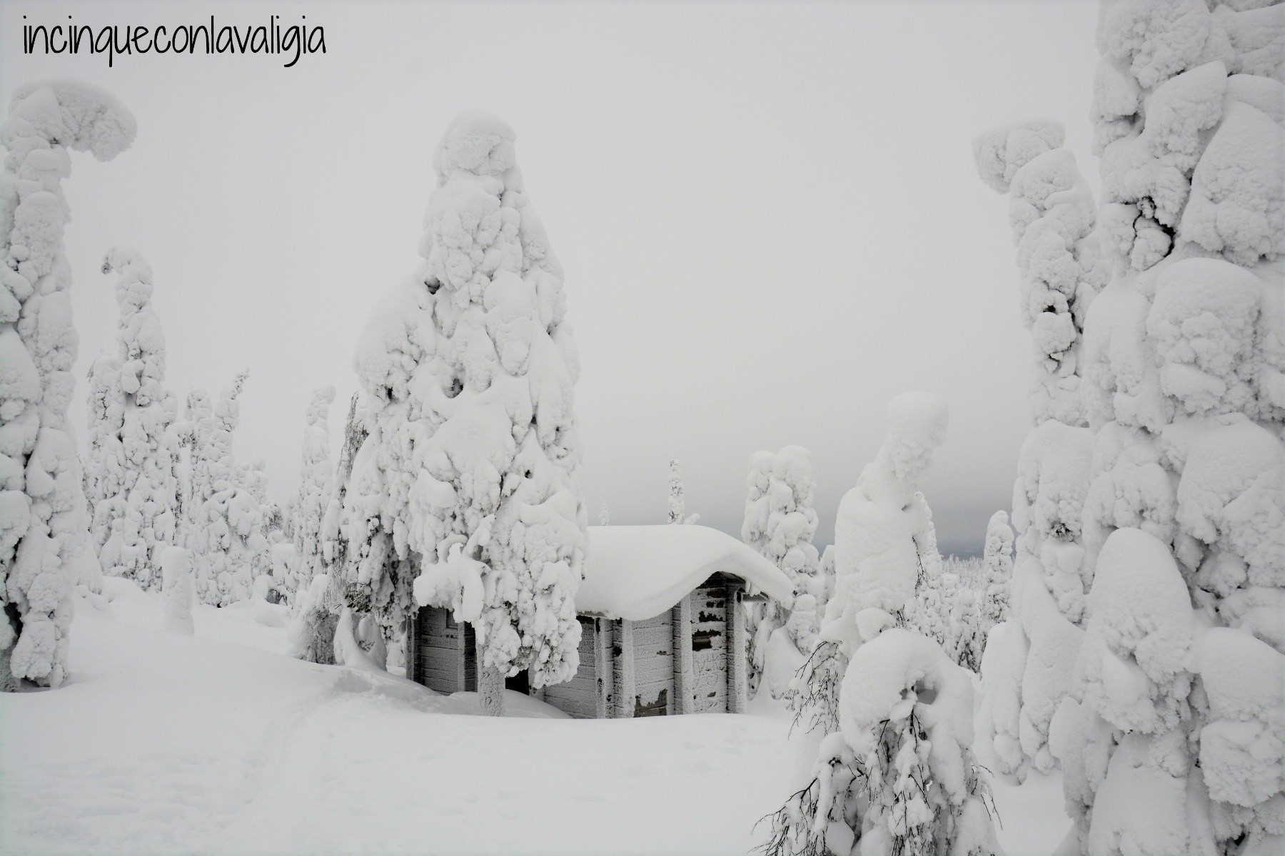 Foresta innevata in Lapponia finlandese Foresta incantata in Lapponia con bambini