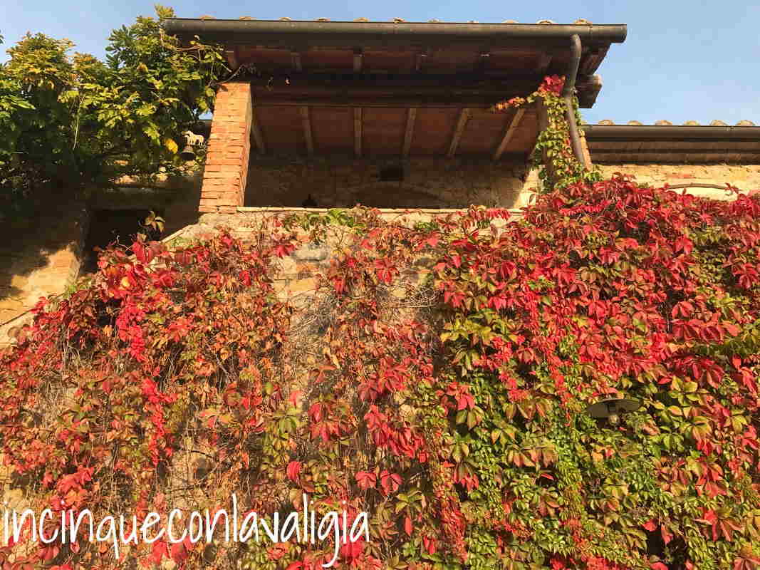 La casa di Campagna in autunno Agriturismo in Umbria con piscina