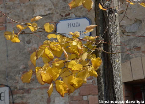 Val d'Orcia in autunno Autunno in Val d'Orcia