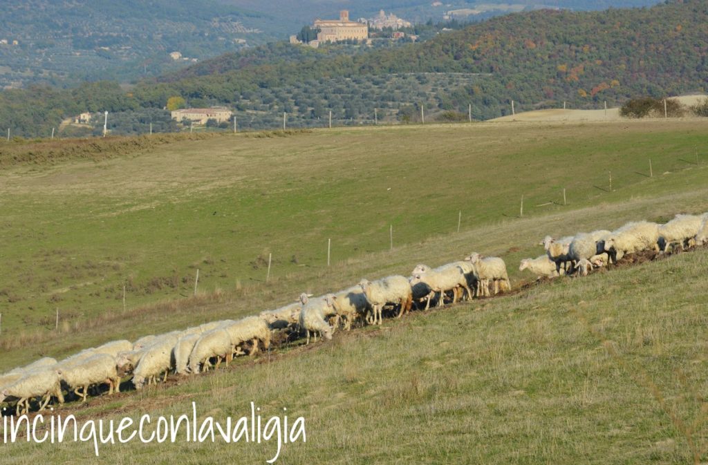 Campagna e borghi sullo sfondo