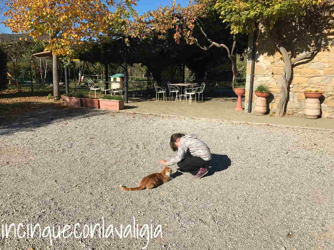 Vita in fattoria con i bambini Fattoria didattica in Umbria