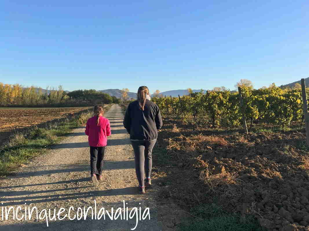 Passeggiate autunnali nei dintorni della Casa di Campagna Passeggiate autunnali