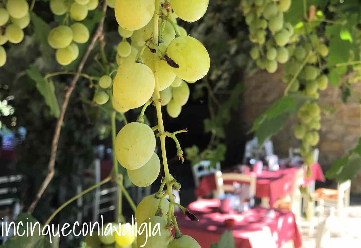 Il pergolato dove mangiare in estate Il pergolato dove mangiare in estate