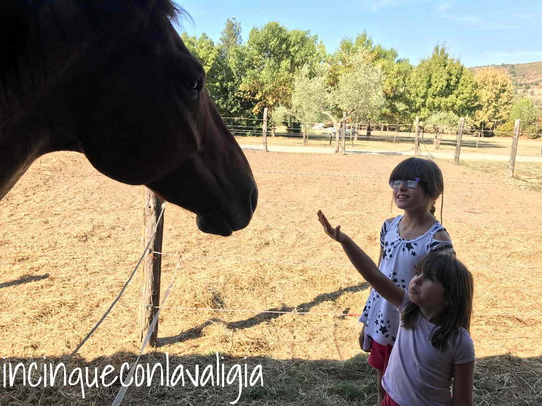 I cavalli alla Casa di Campagna In fattoria con i bambini