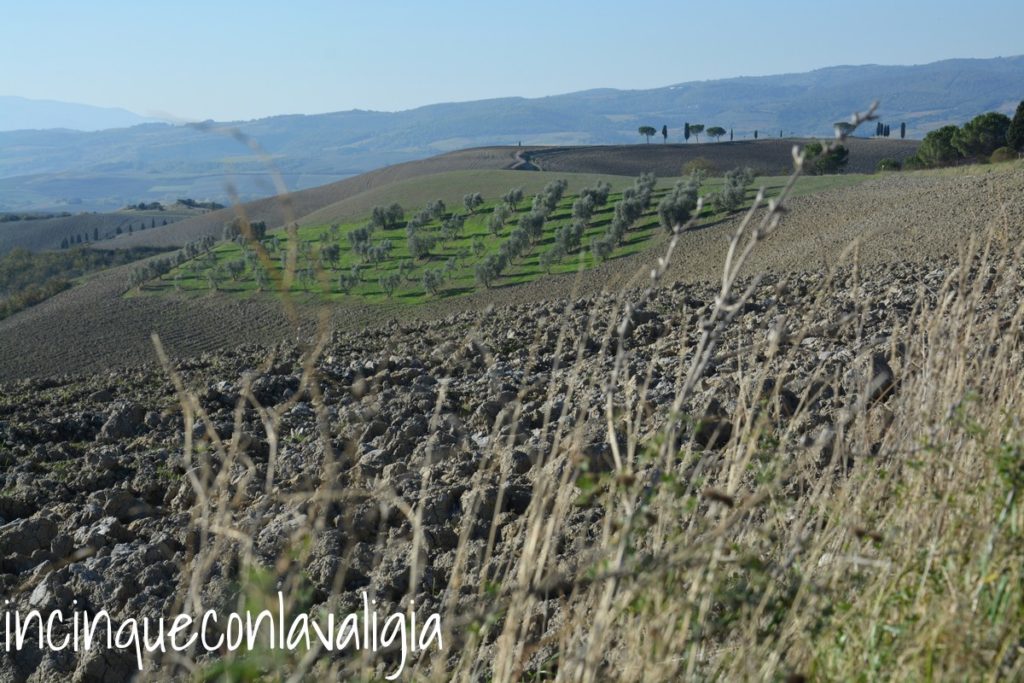 Campagna Toscana