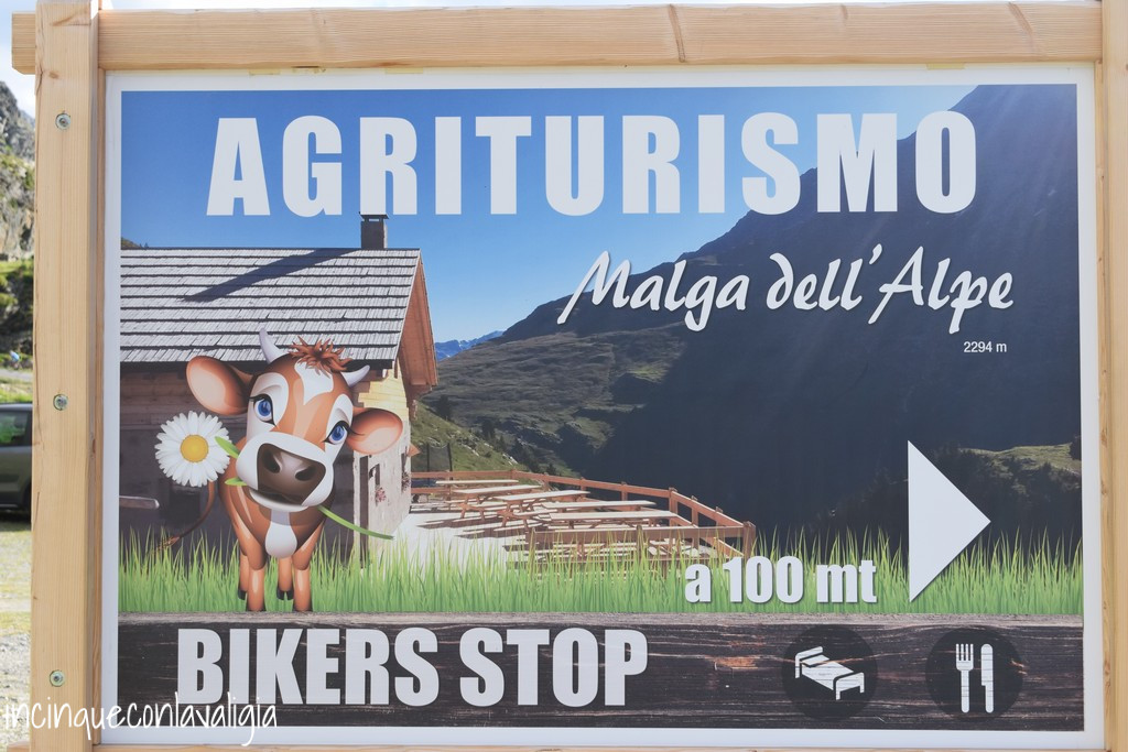 Agriturismo Malga dell'Alpe