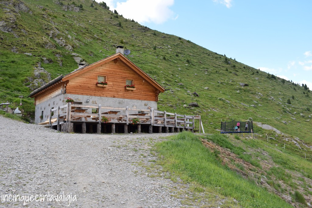 Agriturismo Malga dell'Alpe in Valtellina