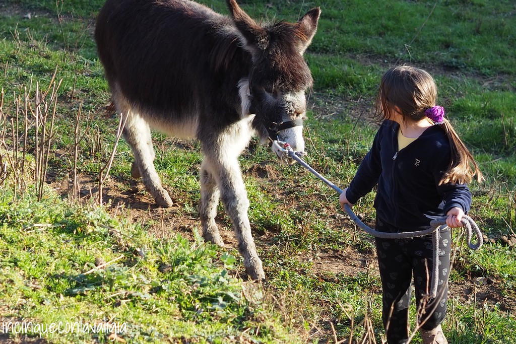 Trekking con gli asini nel Parco del Curone Passeggiate nel parco del Curone