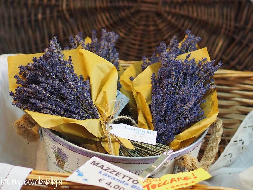 Azienda agricola Impoggio lavanda Azienda Agricola Impoggio