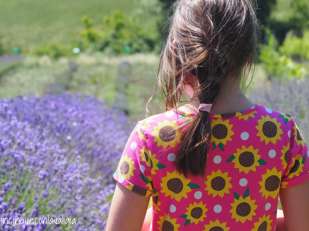 Visitare i campi di lavanda con bambini Campi di lavanda con bambini