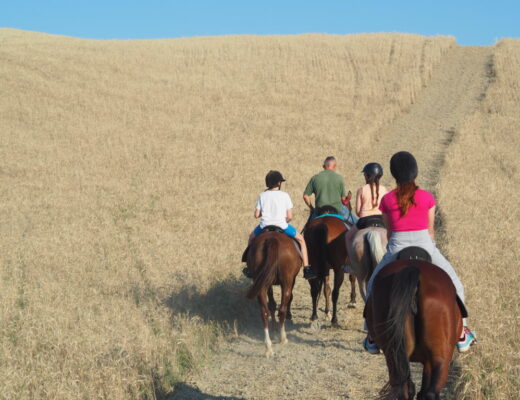 Cavallo in Val d'Orcia con bambini