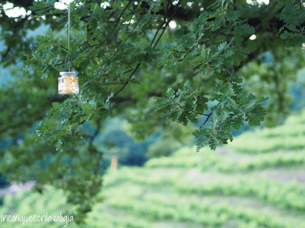 Lucine tra gli alberi che creano atmosfera Atmosfera nel Parco del Curone