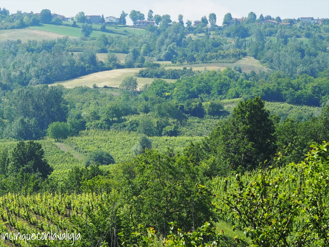 Colline intorno a Fortunago Colline Oltrepò Pavese