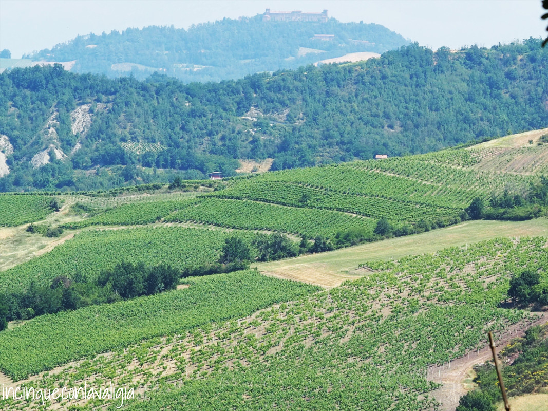 Le colline dell'Oltrepò Pavese Le colline dell'Oltrepò Pavese