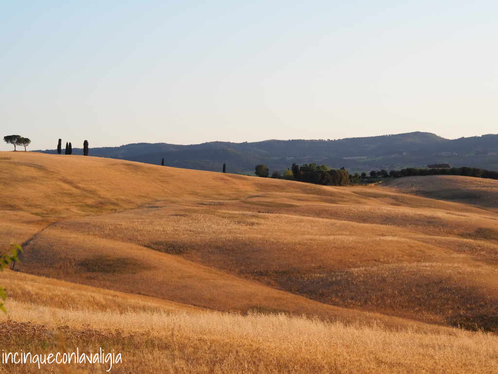 Crete senesi al tramonto
