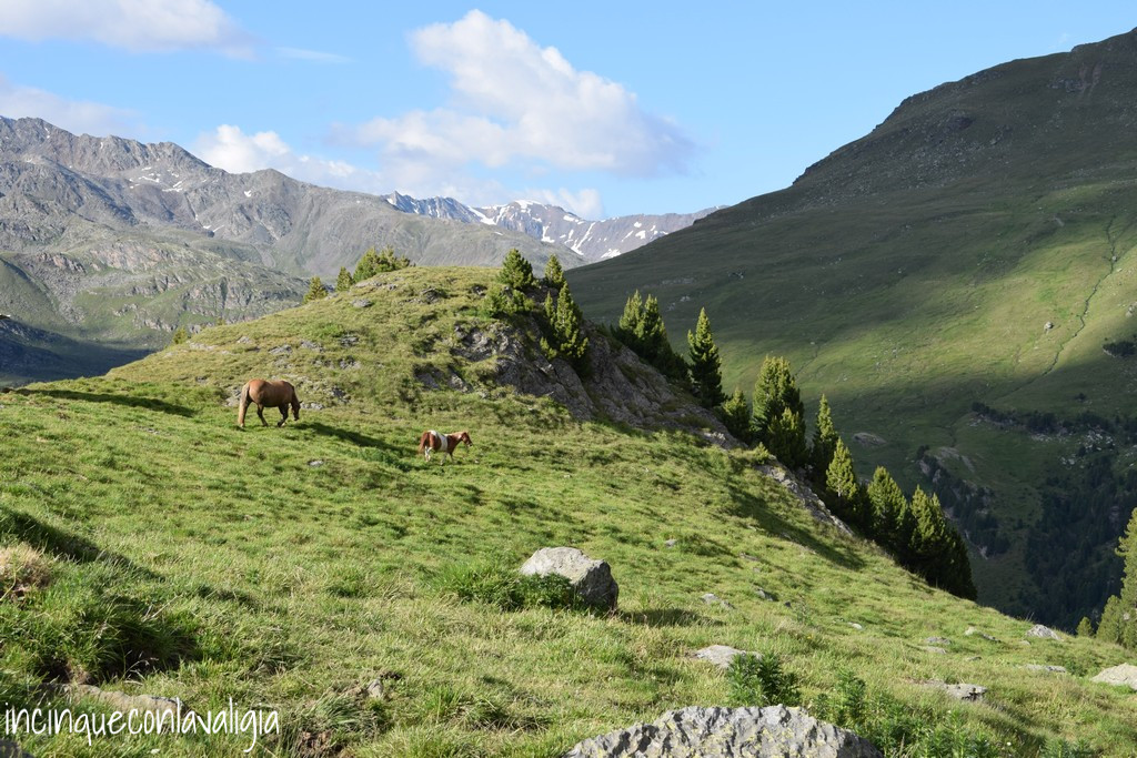 Dormire in malga in Valtellina