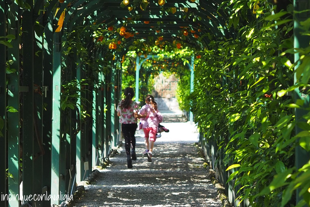 Agrumeto di Villa Carlotta Limonaia Villa Carlotta