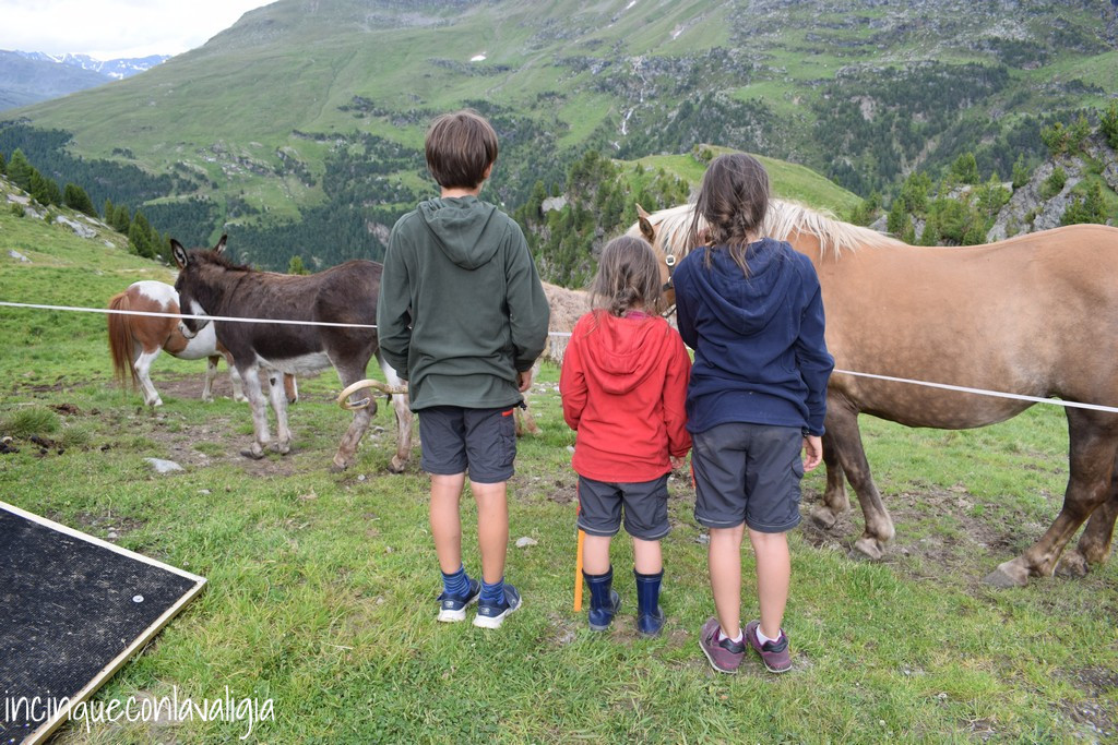 Attività Malga dell'Alpe con bambini