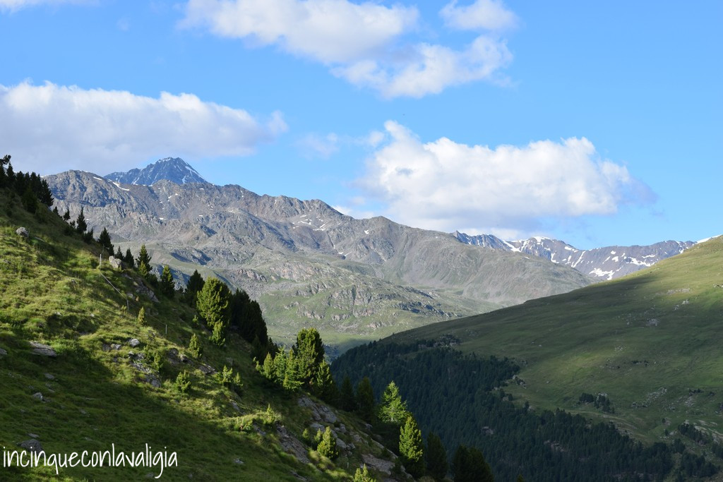 Paesaggio Valfurva