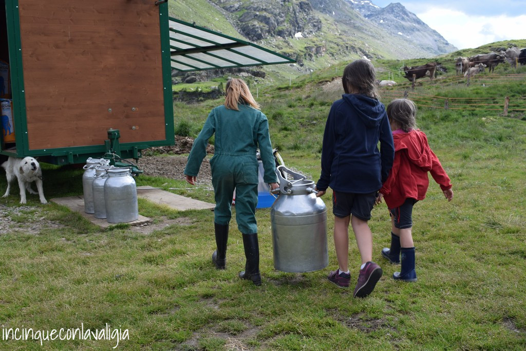 Malga dell'Alpe Mungitura