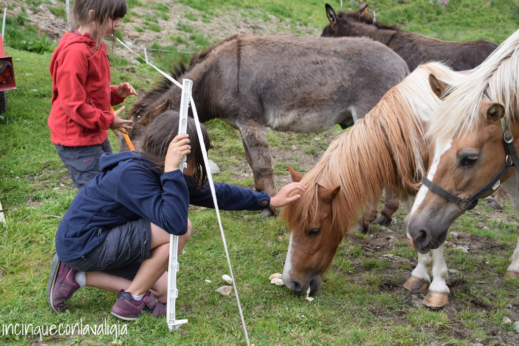 Soggiorno in malga con bambini