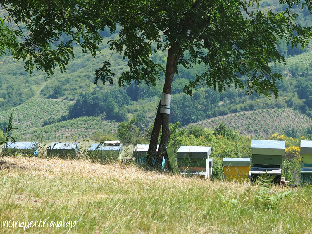Apicoltura all'Azienda Agricola Impoggio Apicoltura Impoggio