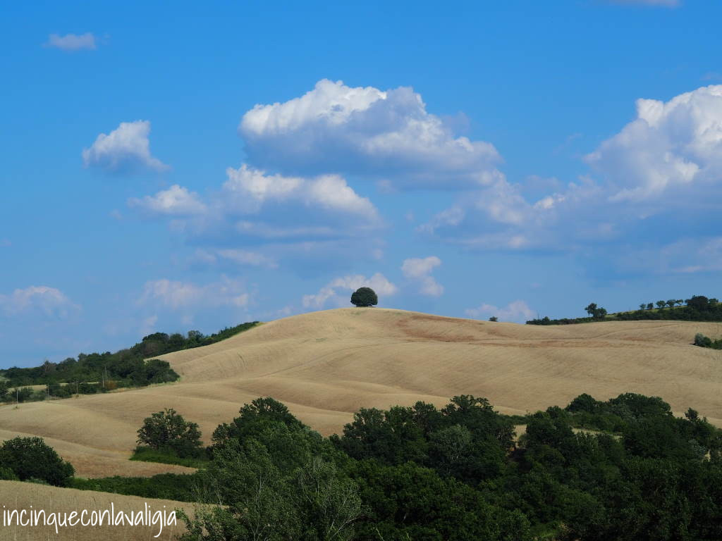 Maneggio Montalcino