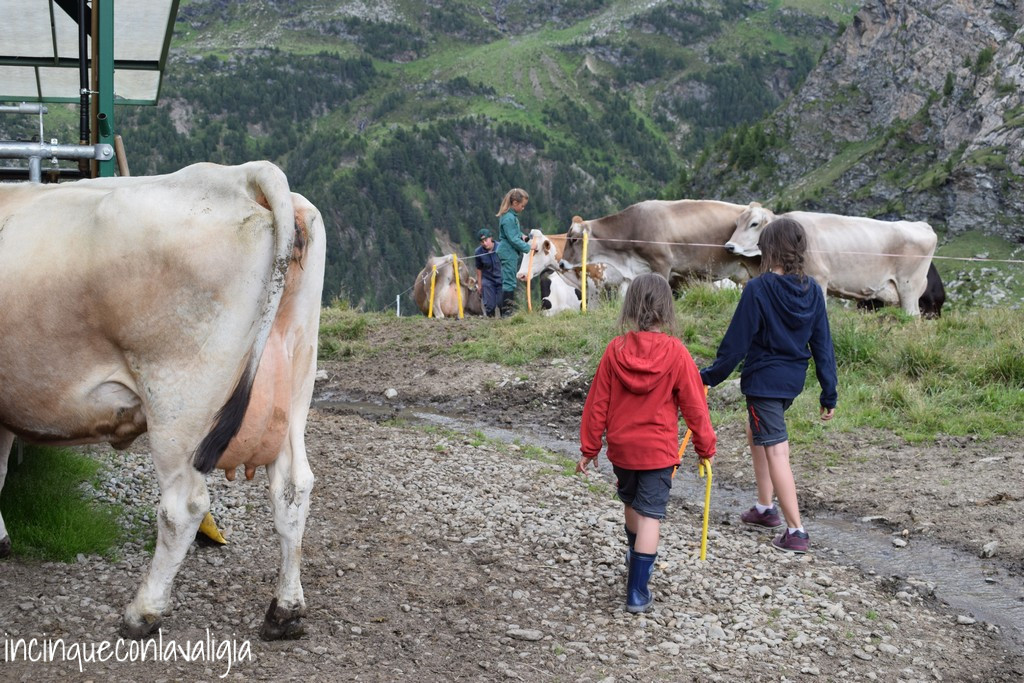 In malga con i bambini