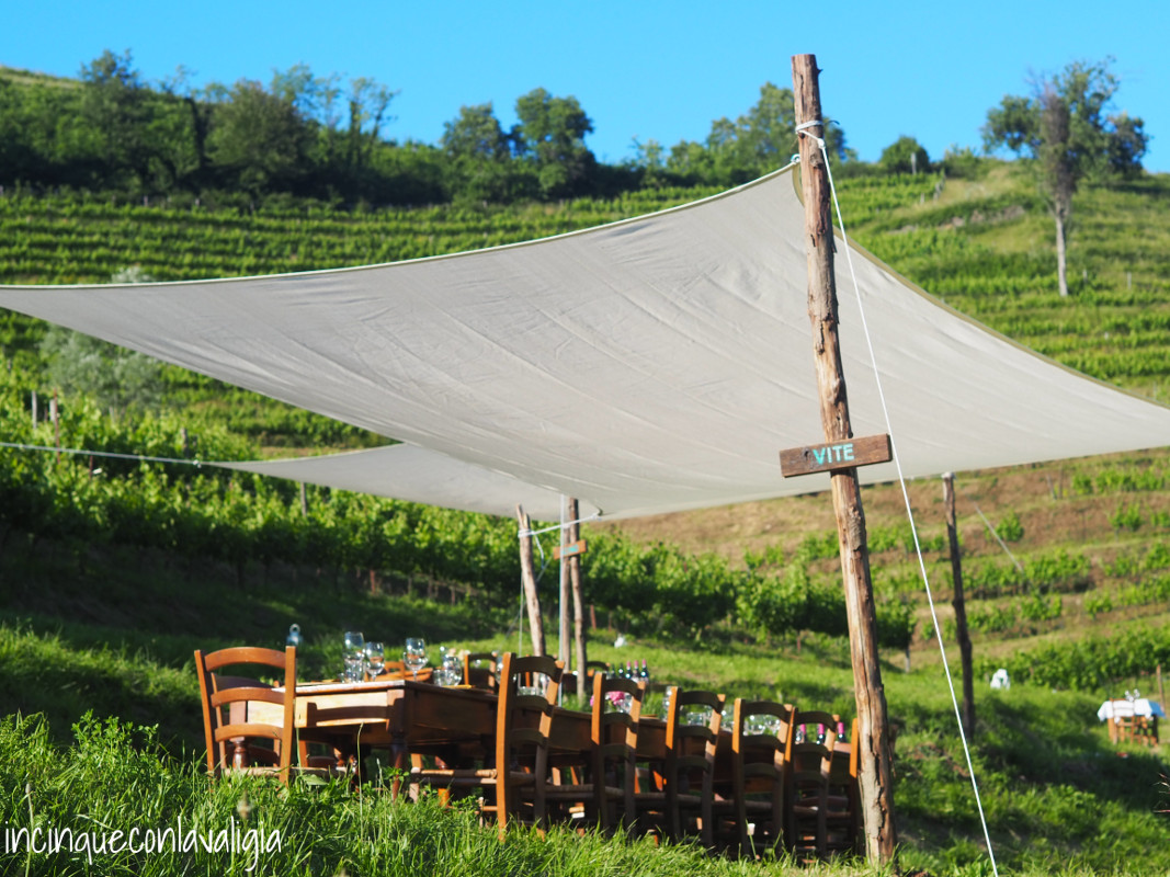 Il nostro tavolo tra i vigneti Cenare tra i vigneti